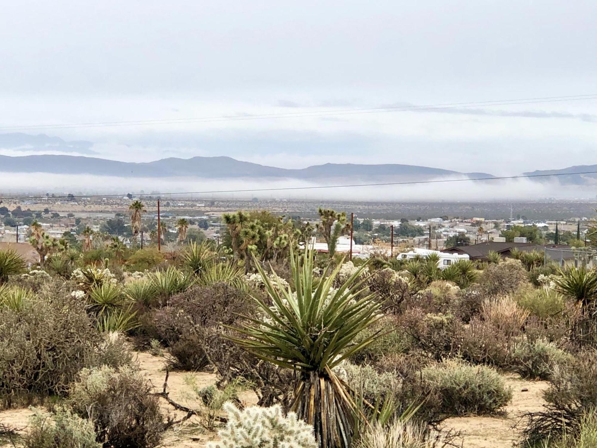 Cozy Desert Retreat With Amazing Views Only 4 Miles To Jtnp Joshua Tree Luaran gambar
